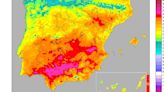 La Aemet avisa de la llegada de veranillo para el fin de semana: 30 grados en el norte y 45 en el sur