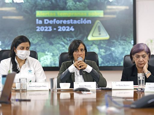 Colombia registró en 2023 la cifra de deforestación más baja en 23 años