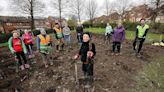 'Tiny forests' planted to make woods for communities