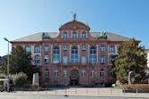 Senckenberg Naturmuseum