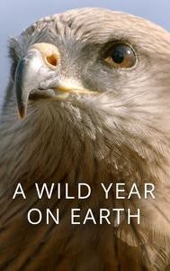 A Wild Year On Earth