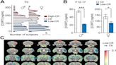 為什麼並非所有人都會發展成「創傷後壓力症候群」（PTSD）？