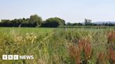 New Slimbridge battery plant to be built despite safety concerns