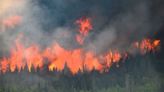 Climate change made weather that fuelled Canada's wildfire season seven times more likely, say scientists