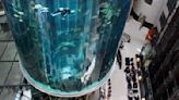 Berlin Aquarium at Radisson Hotel Holding 1,500 Tropical Fish Explodes