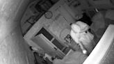 Vernon County seeks public help in burglary investigation