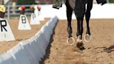 Voss: American Horse Racing Should Be Watching The Fallout From Britain’s Dressage Olympic Scandal