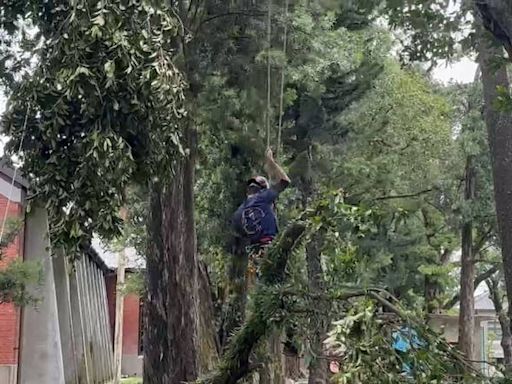 開園以來最嚴重災損 台南水道博物館陸、空雙管齊下復原