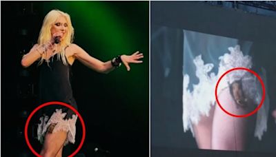 Telonera de AC/DC fue mordida por murciélago en pleno show: Taylor Momsen necesitará vacunas contra la rabia