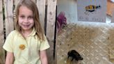 Girl goes viral after making motivational posters for bee to help it recover