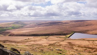 West Yorkshire moor found to store more than a million tonnes of carbon | ITV News