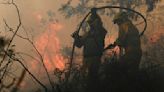 La Guardia Civil investiga a dos hombres y una mujer por los incendios forestales registrados en Valderredible y Molledo