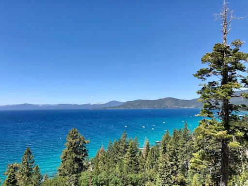 Head for South Lake Tahoe for beer, brunch and an irresistible laid back vibe