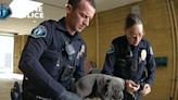 Police give overdose-reversing drug to puppy after possible fentanyl exposure