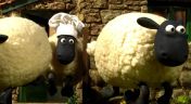 25. Shaun the Farmer