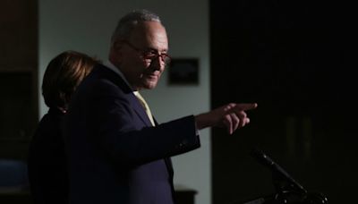 Schumer 'f--ked it up' on Build Back Better negotiations, senior Dem aide says