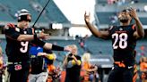 Cincinnati Bengals vs. Pittsburgh Steelers odds: NFL Week 11 point spread, moneyline, total