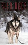 Sled Dogs (film)