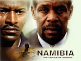 Namibia: The Struggle for Liberation