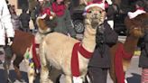 Westmoreland County residents enjoy holiday parade in Greensburg