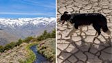 How a 1,000-year-old system of irrigation channels could help protect Spain from extreme heat