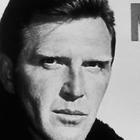 Robert Lansing (actor)