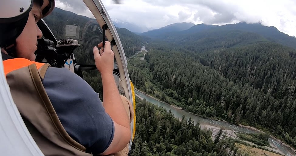 Goats airlifted from Olympic Peninsula to North Cascades are mysteriously dying, per Tulalip Tribes