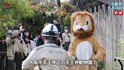大阪地震模擬演習…職員扮獅子籠中逃跑 「坐公園椅休息」笑翻眾人