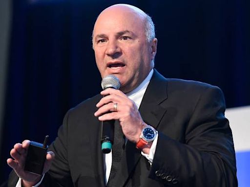 ‘I don’t care how in love you are’: Kevin O’Leary cautions couples they should ‘never’ marry their finances