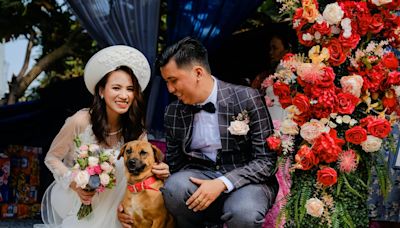 Los ‘perrijos’ son padrinos de boda y hasta van a la luna de miel, en la nueva tendencia en Estados Unidos