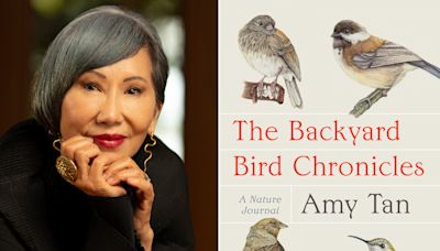 ‘A sense of calm’: Amy Tan’s writing and illustrations soar in new book about birds