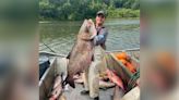 Giant Carp Caught by Commercial Fisherman Would Have Smashed the World Record