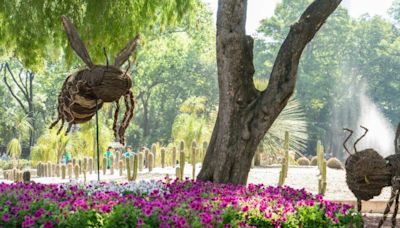 ¡Bienvenidos a la primera edición de Festival en Campo!