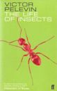 The Life of Insects