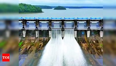 Bhopal Kolar Dam Gates Opened Upper Lake Water Levels Rising | Bhopal News - Times of India