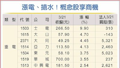 搶電又搶水 士電、元晶等17檔水電概念股滿面春風