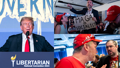 WATCH: Libertarians React to Donald Trump's Speech at Their Convention