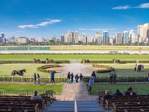 Vereadores de São Paulo proíbem apostas com cavalos, pavimentando fim do Jockey Club