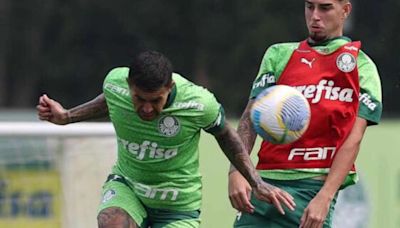 Contratado para a base, Agner treina entre os profissionais do Palmeiras