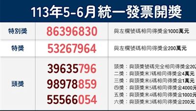 統一發票113年5-6月千萬獎號碼：86396830