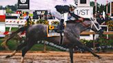 Seize the Grey wins 149th running of Preakness Stakes