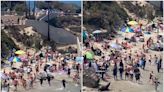 Sea lions chase away sunbathers in La Jolla cove