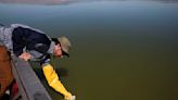 The summer heat is on and so is Utah’s harmful algae season