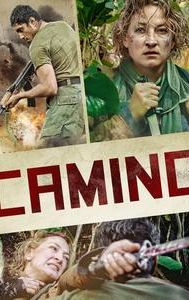 Camino (2015 film)