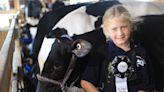 For these Dutchess County kids, 4-H is a way of life