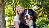 225+ Bernese Mountain Dog Names For Your Big-Hearted Berner