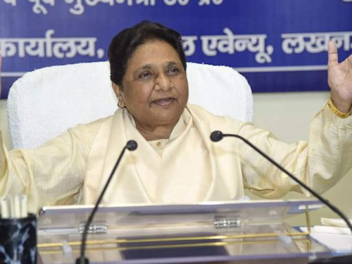 Mayawati calls BSP Tamil Nadu chief murder 'brutal', appeals for peace - The Economic Times