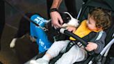 Istanbul Airport hires therapy dogs to alleviate travel stress