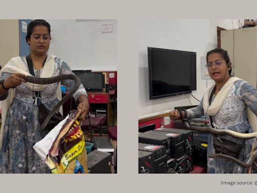 ‘Brave lady’: Woman fearlessly rescues snake from office, netizens laud her after viral video