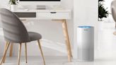 This Amazon air purifier 'reduces allergies' — get it for 40% off